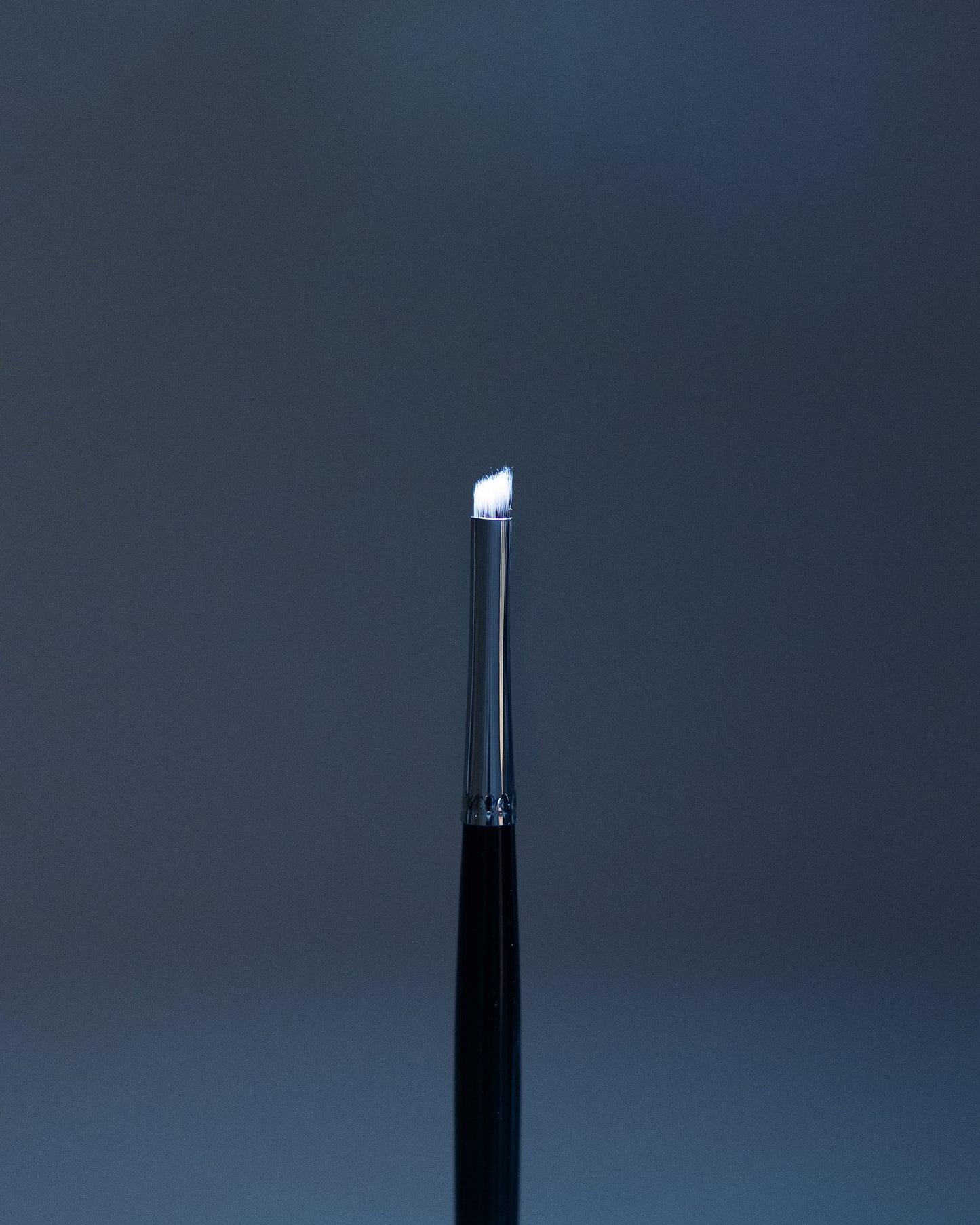 PRECISION ANGLED LINER BRUSH #215