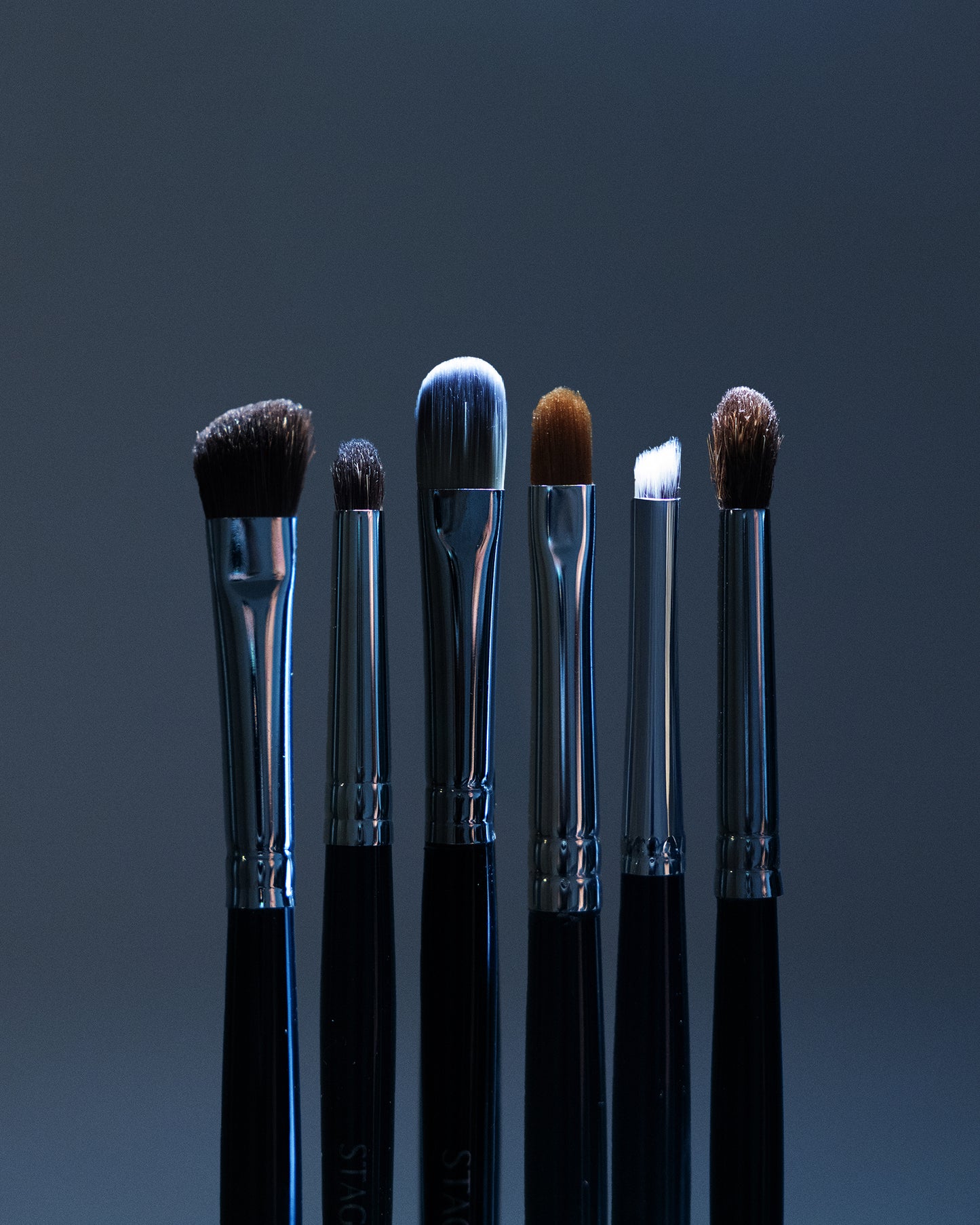 6-PIECE PRO PRECISION BRUSH SET